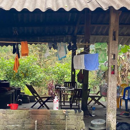 Bikki'S Jungle Homestay Ha Giang Bagian luar foto