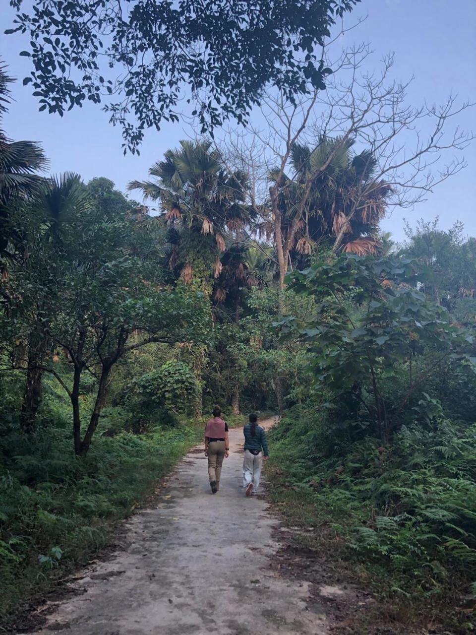 Bikki'S Jungle Homestay Ha Giang Bagian luar foto