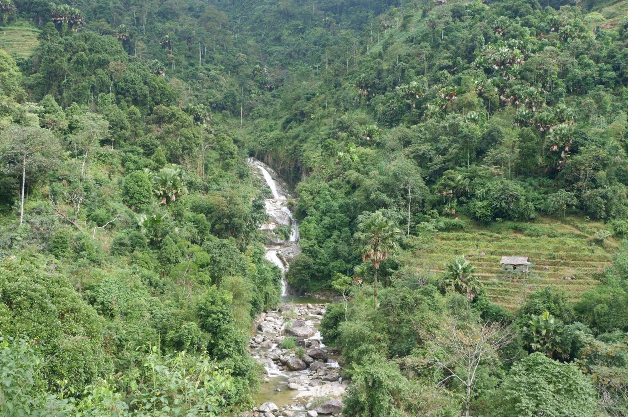Bikki'S Jungle Homestay Ha Giang Bagian luar foto