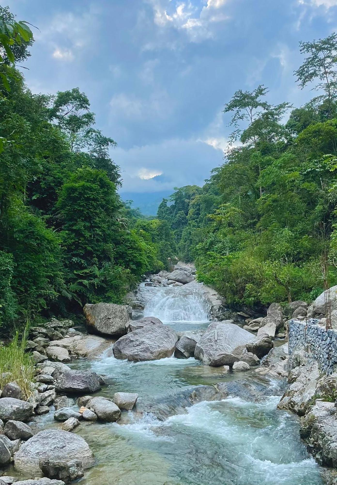 Bikki'S Jungle Homestay Ha Giang Bagian luar foto