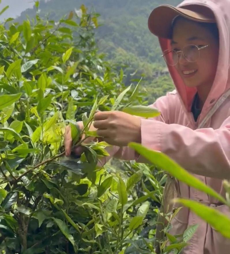 Bikki'S Jungle Homestay Ha Giang Bagian luar foto