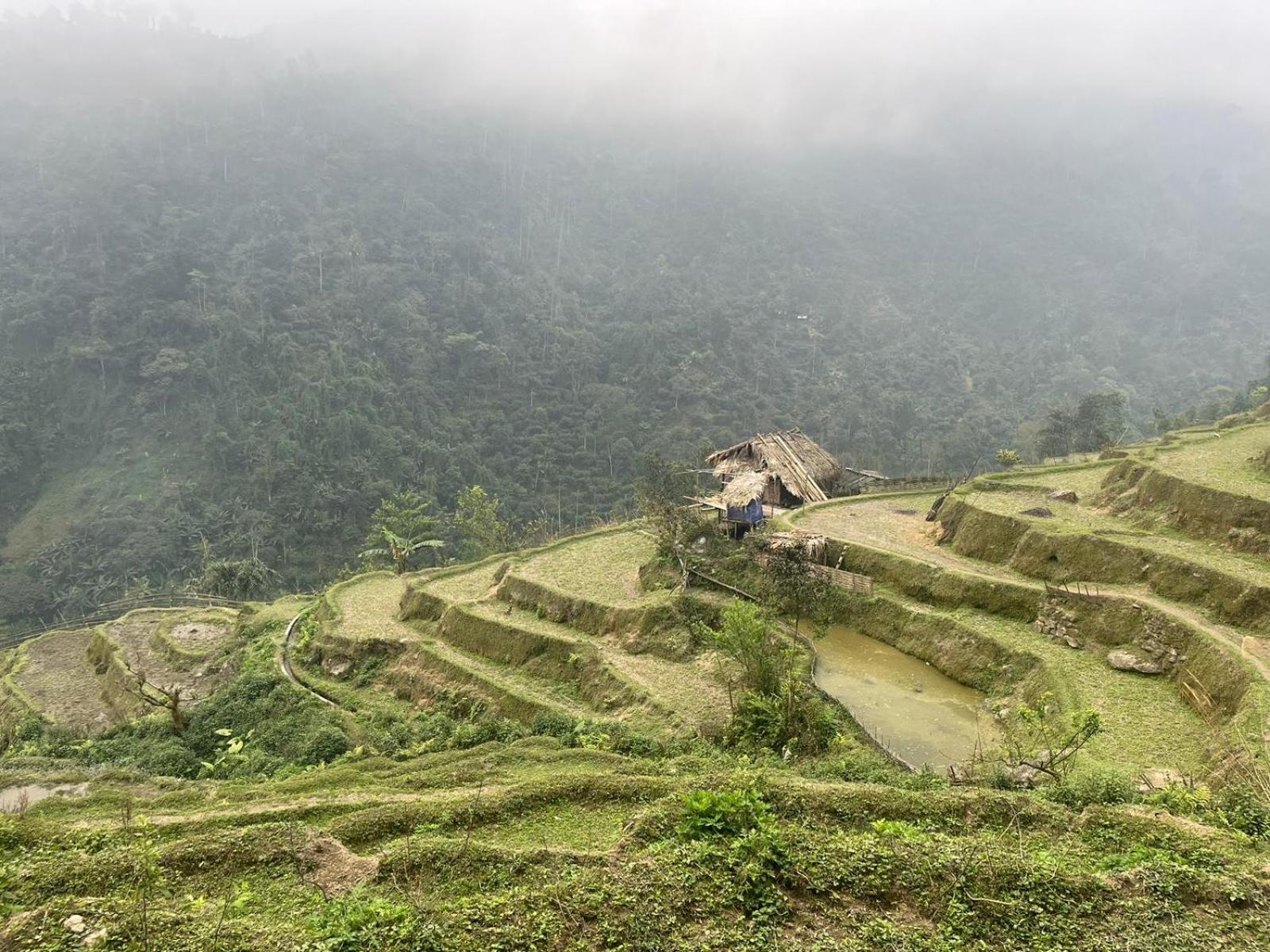 Bikki'S Jungle Homestay Ha Giang Bagian luar foto