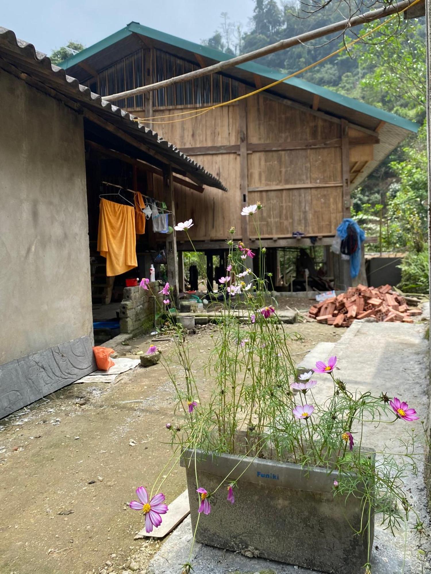 Bikki'S Jungle Homestay Ha Giang Bagian luar foto