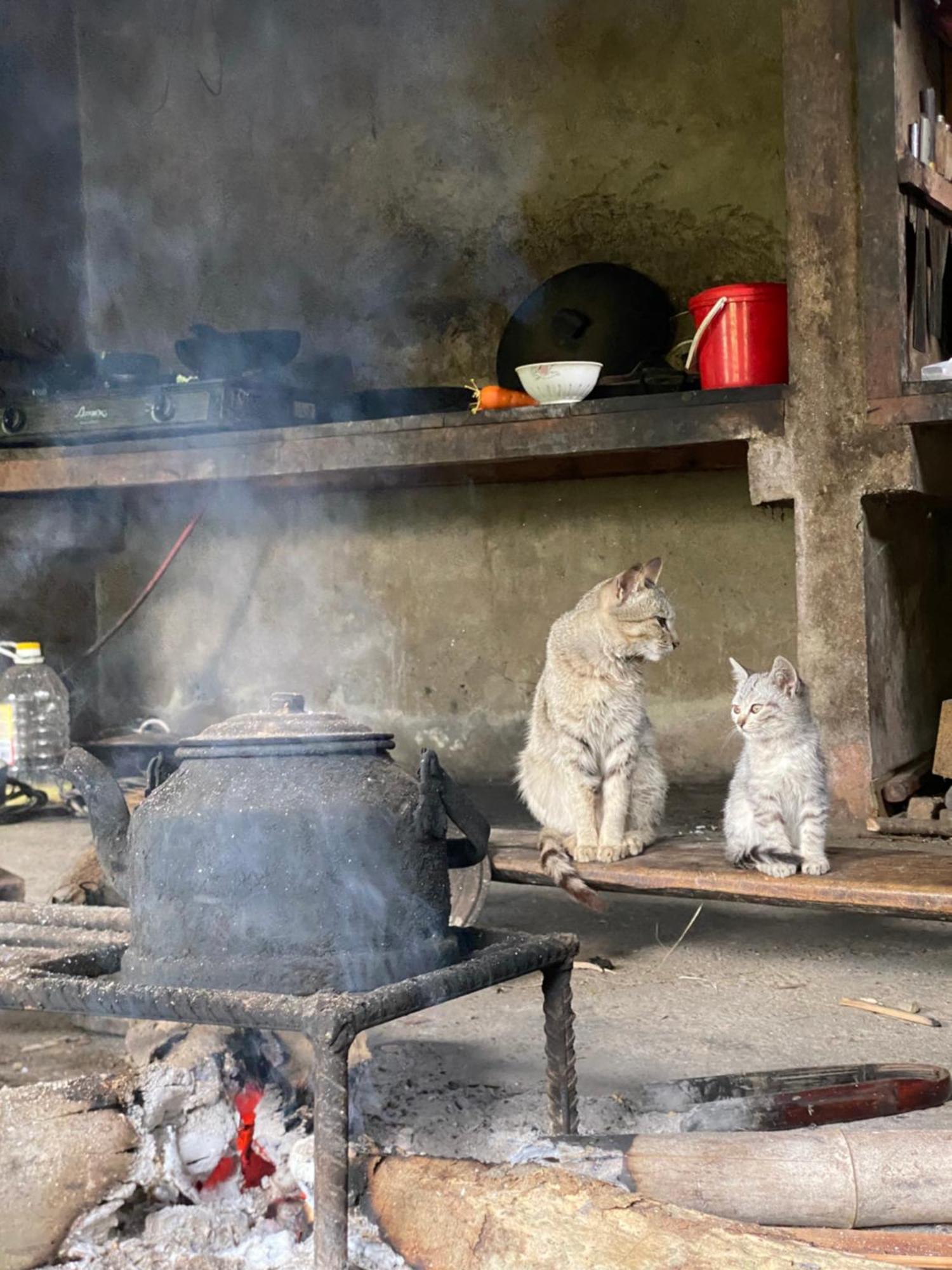 Bikki'S Jungle Homestay Ha Giang Bagian luar foto