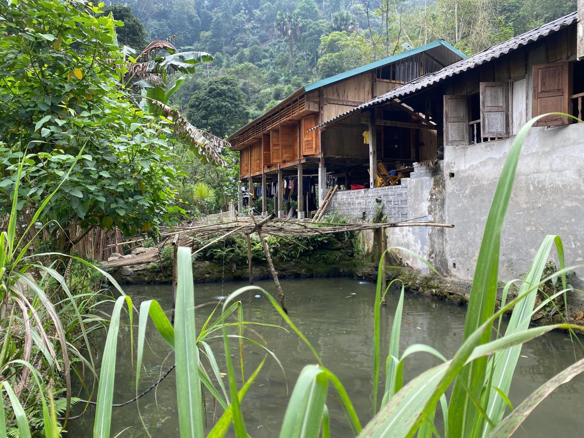 Bikki'S Jungle Homestay Ha Giang Bagian luar foto