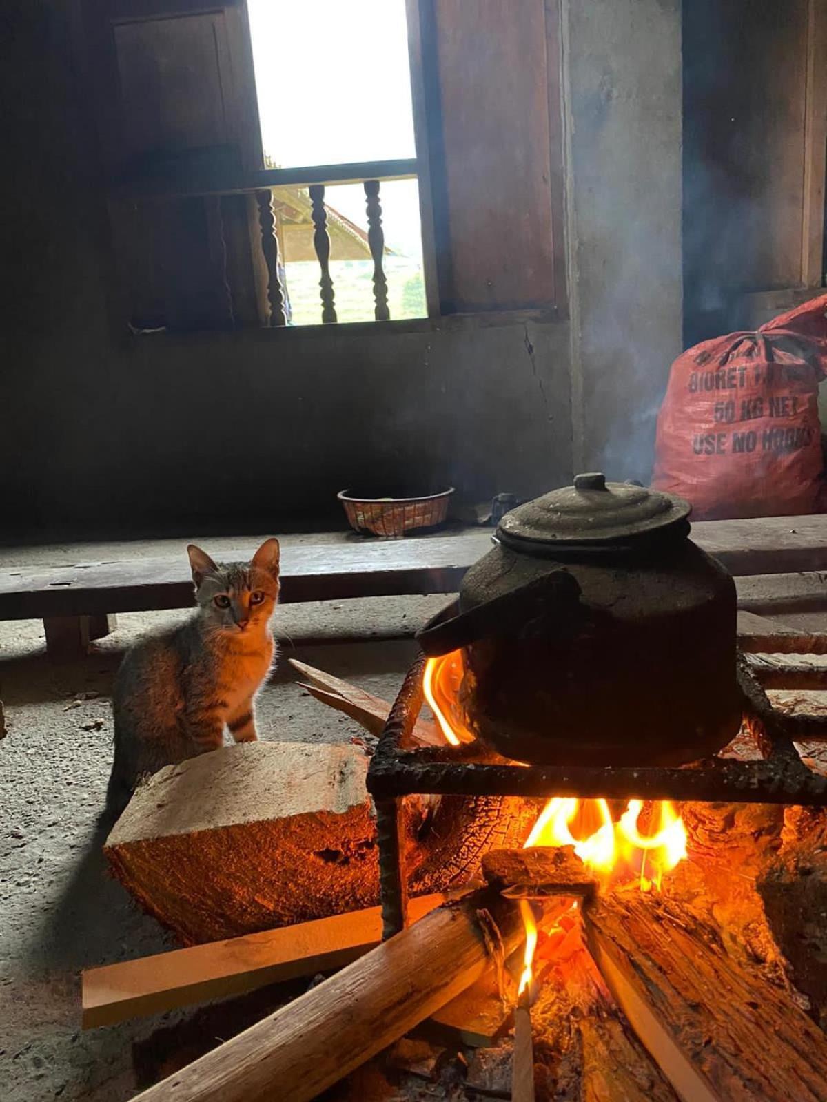 Bikki'S Jungle Homestay Ha Giang Bagian luar foto