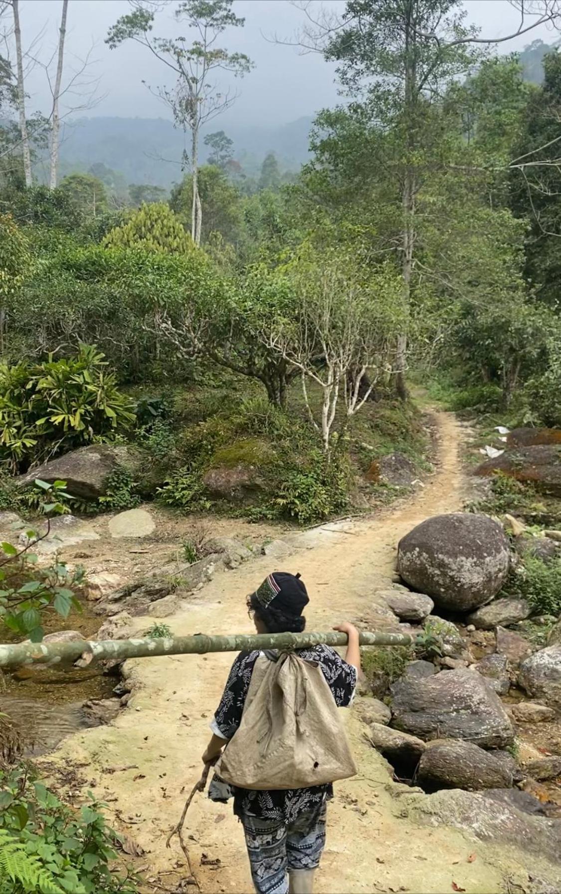 Bikki'S Jungle Homestay Ha Giang Bagian luar foto