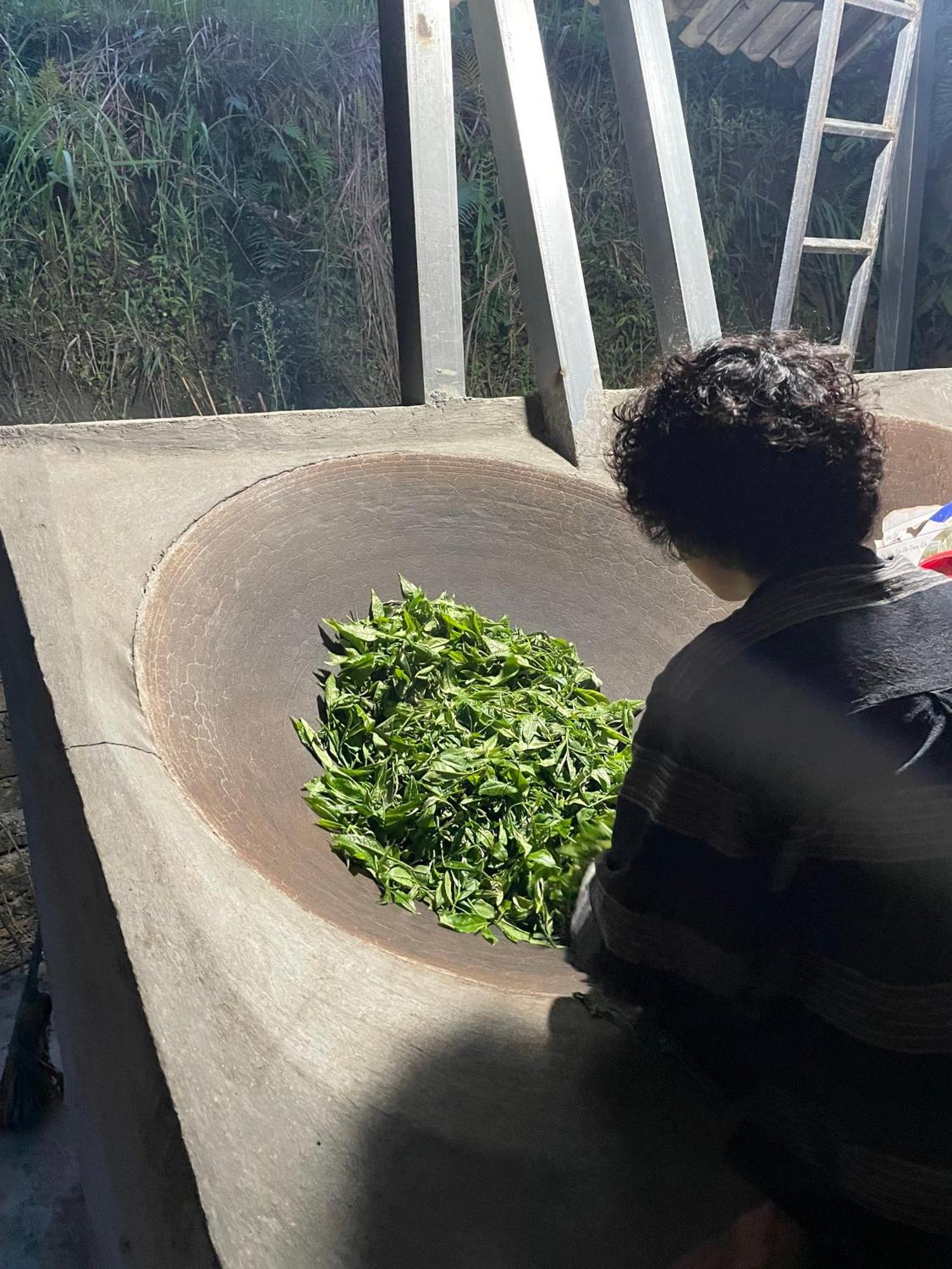 Bikki'S Jungle Homestay Ha Giang Bagian luar foto