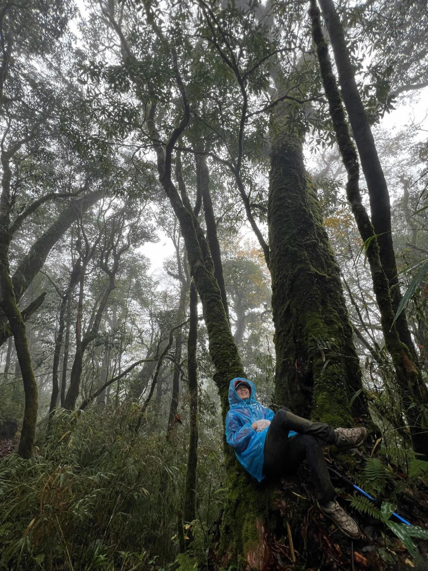 Bikki'S Jungle Homestay Ha Giang Bagian luar foto